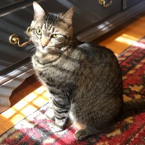 Meet your Posher, Emily